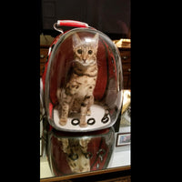 Bubble Capsule - Cat Carrier BookBag